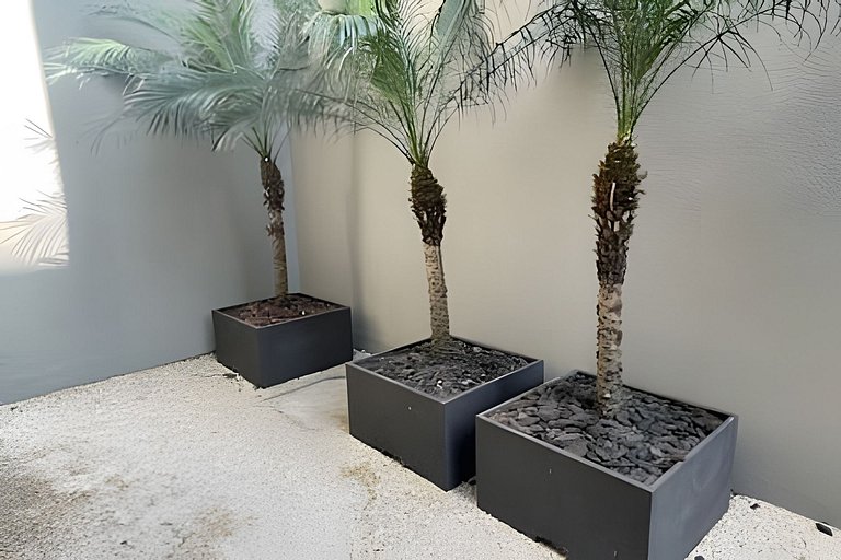 Studio Estação Luz | Wi-fi 400 mb, Ar. Cond.