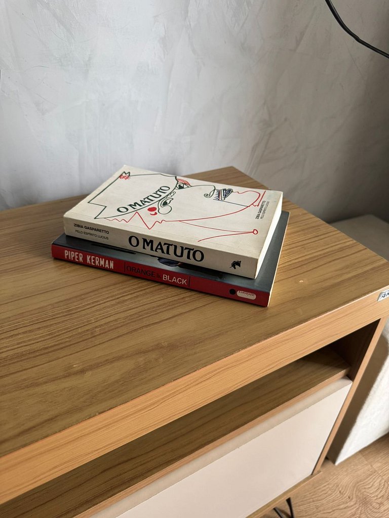 Apartamento | Vila Sta Catarina